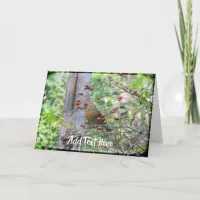 Cardinal in Berry Branches Winter Card