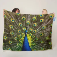 Colorful peacock fleece blanket