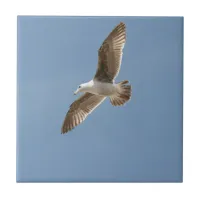 Free as a Bird (Flying Seagull) Ceramic Tile