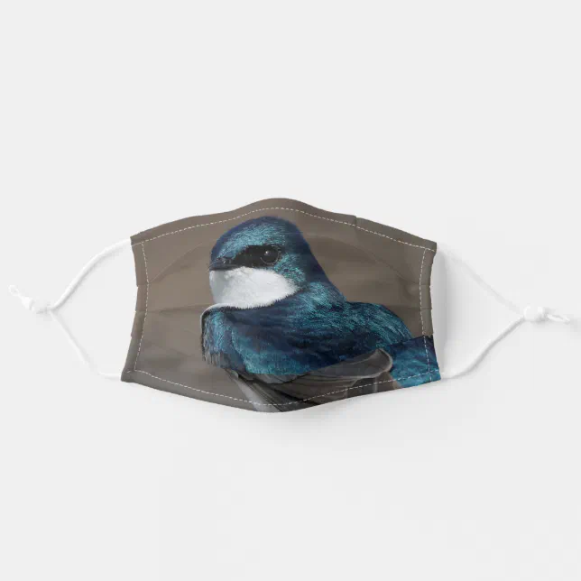 Handsome Tree Swallow Songbird on a Wire Adult Cloth Face Mask