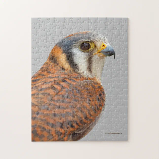 Stunning American Kestrel Sparrowhawk Falcon Jigsaw Puzzle