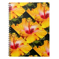 Orange Hibiscus Flower Side View Notebook