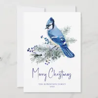 Winter Blue Jay Christmas Bird Holiday Card