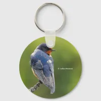 Beautiful Barn Swallow Songbird on Branch Keychain