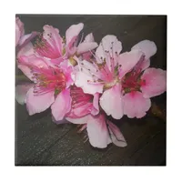 Peach Blossoms Ceramic Tile