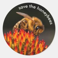 Save the Honeybees Pollinating Echinacea Classic Round Sticker