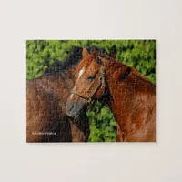 Beautiful Chestnut Horses in the Summer Sun Jigsaw Puzzle