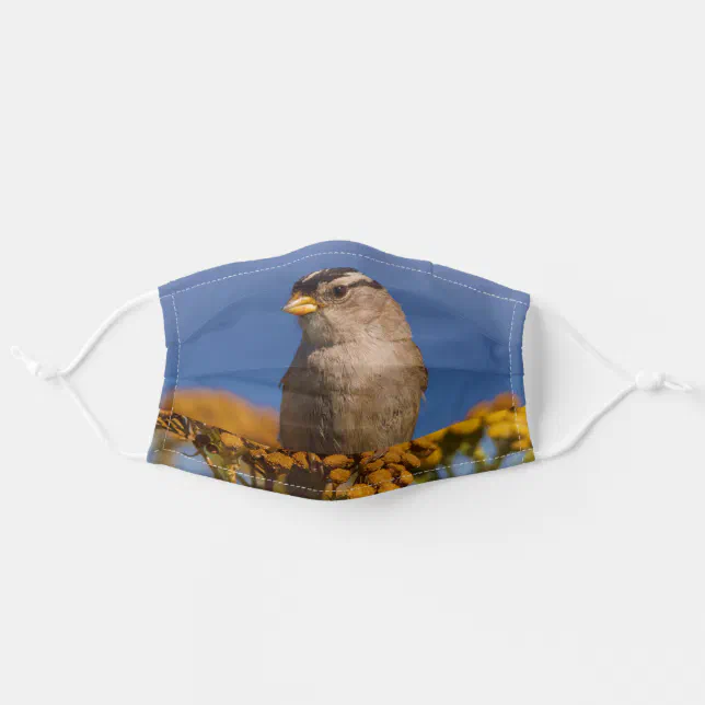 White-Crowned Sparrow Sitting on the Tansy Adult Cloth Face Mask