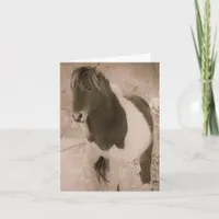 Pinto Pony Sepia Grunge, Thank you Holiday Card