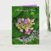 Thinking of You PUrple and Pink Flower Card