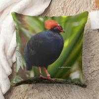 Profile of a Roul-Roul Crested Wood Partridge Throw Pillow