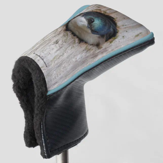 Tree Swallow in a Nestbox Golf Head Cover
