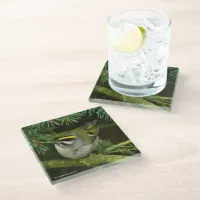 Cute Kinglet Songbird Causes a Stir in the Fir Glass Coaster