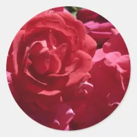 Red Roses Classic Round Sticker