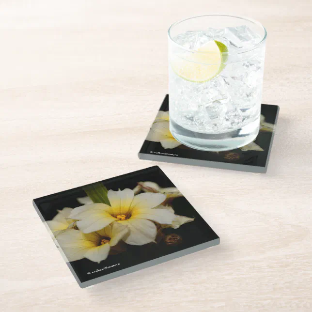 Beautiful Satin Flowers on Black Glass Coaster