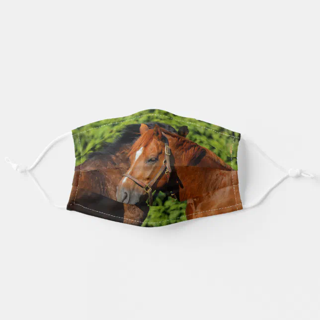 Beautiful Chestnut Horses in the Summer Sun Adult Cloth Face Mask