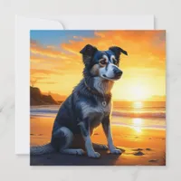 Cute Dog on Beach at Sunset 