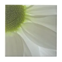 White Daisy Petals Tile