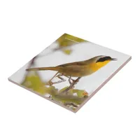 Beautiful Common Yellowthroat Warbler Songbird Tile