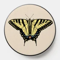 Southwestern Yellow Swallowtail Butterfly PopSocket