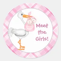 Stork & Twin Girls Baby Announcement Classic Round Sticker