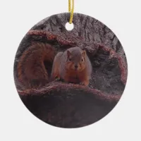 Cute Squirrel Photo Personalized Ceramic Ornament