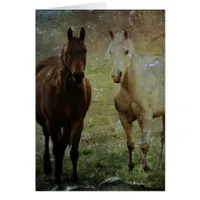 Horse Buddies Grunge