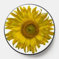 Yellow Sunflower Blossom PopSocket