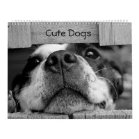 Cute Dogs Calendar