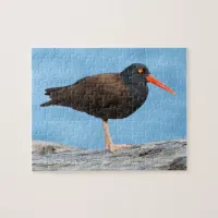 Profile of a Black Oystercatcher Jigsaw Puzzle