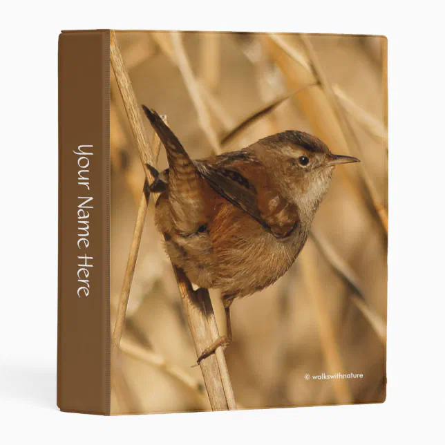 A Beautiful Marsh Wren in--Where Else?--the Marsh Mini Binder