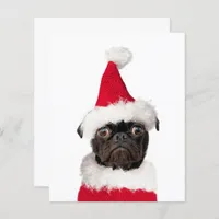 Budget Cute Christmas Pug Puppy Santa