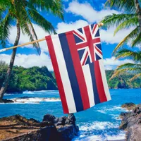 Hawaii State House Flag