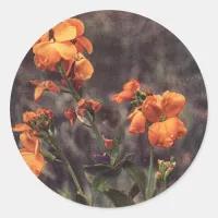 Wildflower: Wallflower Classic Round Sticker