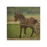 Trot On, An Amish Horse Wood Wall Art