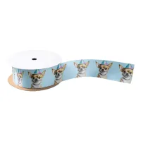 Chihuahua with Birthday Hat  Satin Ribbon