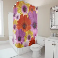 Colorful Medley of African Daisies Flowers Shower Curtain