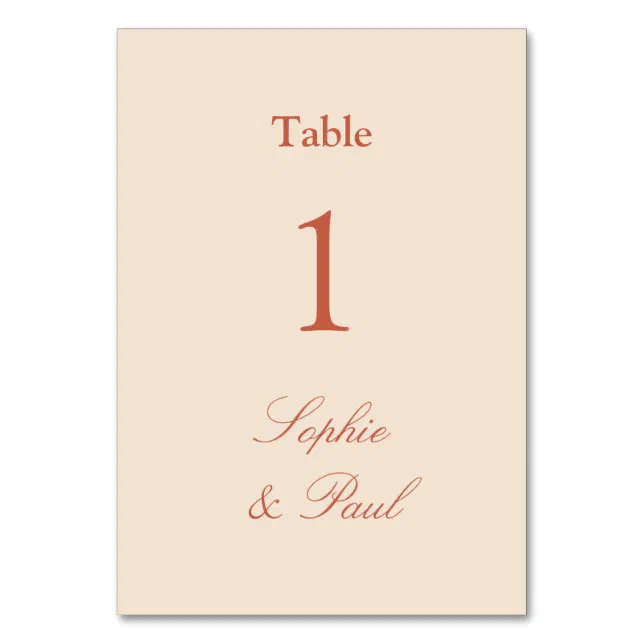 Stylish Terracotta Straw Beige Table Number