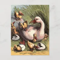 Ducklings Just Hatched Vintage Image Postcard