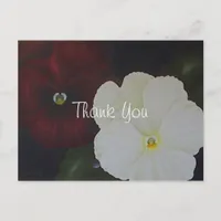 Floral Thank You Postcard