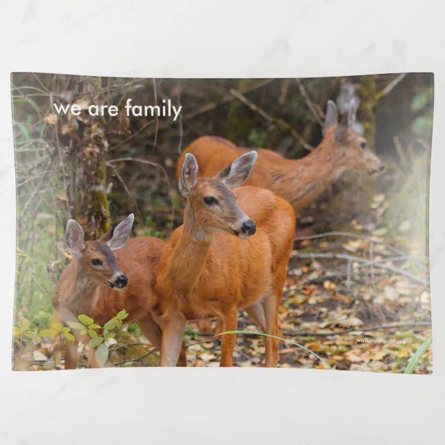 Stunning Trio of Blacktail Deer in the Forest Trinket Tray