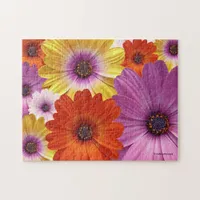 Colorful Medley of African Daisies Flowers Jigsaw Puzzle