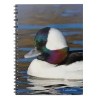 Handsome Bufflehead Duck at the Winter Pond Notebook