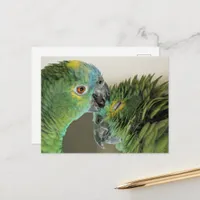 Cute parrots - amazon parrot postcard