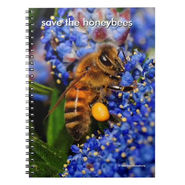 Save the Honeybees Pollinating California Lilac Notebook