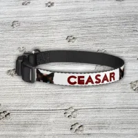 Personalized Pet Name with Image |  Pet Collar