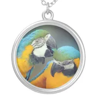 Parrots in love silver plated necklace