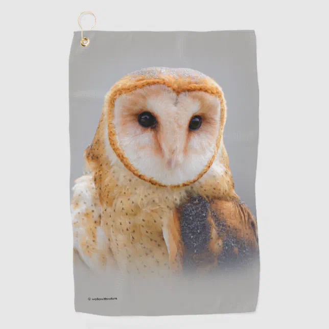 A Serene and Beautiful Barn Owl Golf Towel