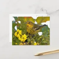 Cape May Warbler Songbird with Flowering Mahonia Postcard