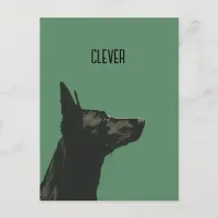 Clever Black German Shepherd Postcard